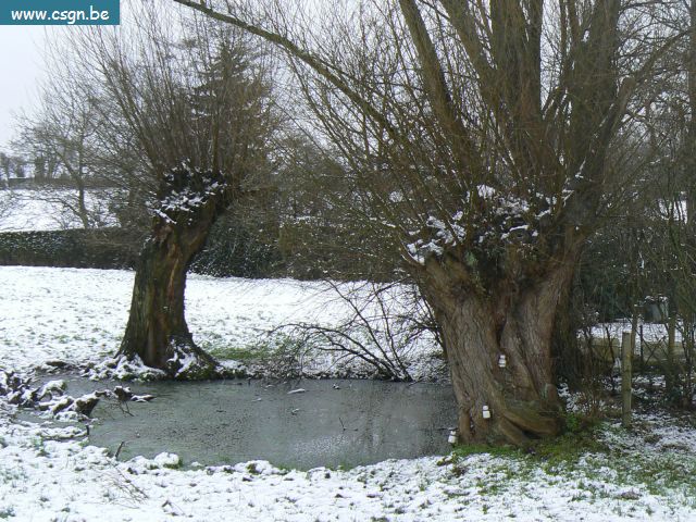 Photo 428.jpg
