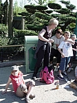 DSC00027.JPG
