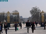 P1040345.JPG