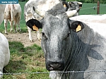 DSCN4674.JPG