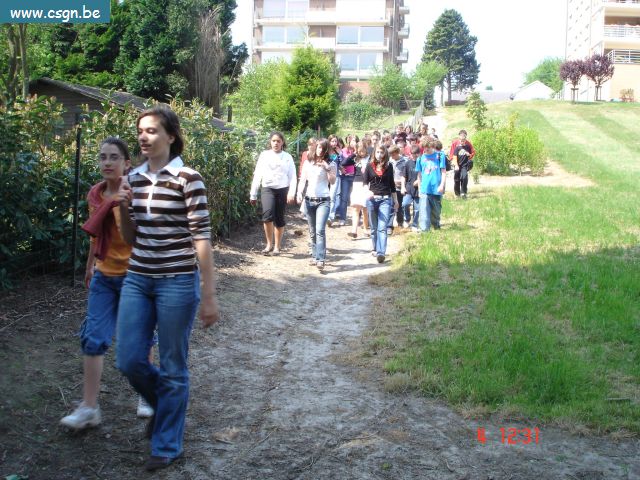 DSC03557.JPG