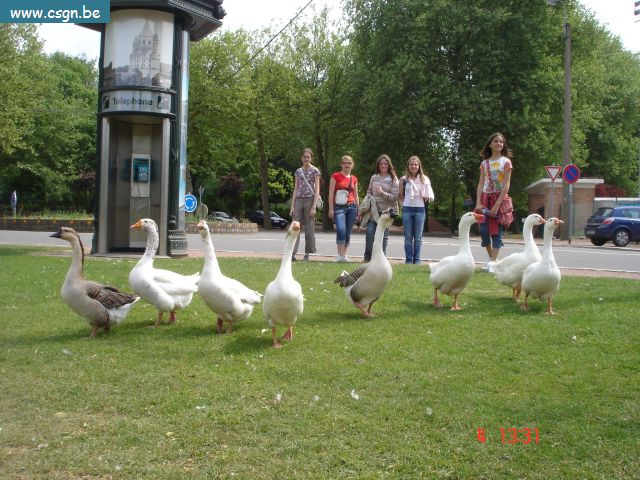DSC03583.JPG