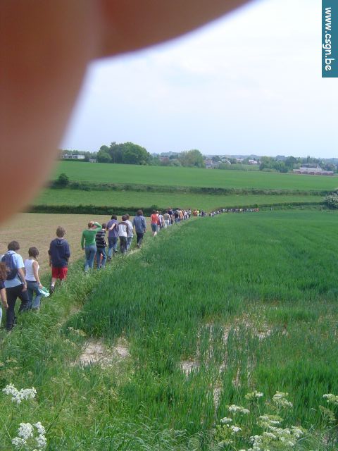 DSC07110.JPG