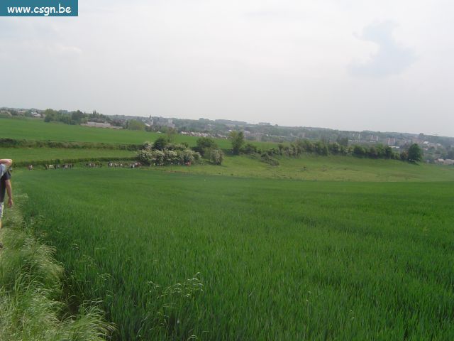 DSC07113.JPG