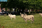 IMG_8613.JPG