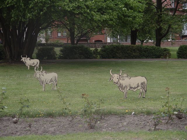 DSC00035.JPG