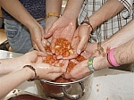 DSC00018.JPG