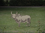 DSC00033.JPG