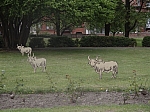 DSC00035.JPG