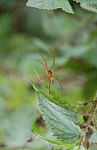 DSC_1171.JPG