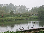 IMG_4596_1.JPG