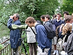 IMG_4622_1.JPG