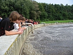 IMG_4642_1.JPG