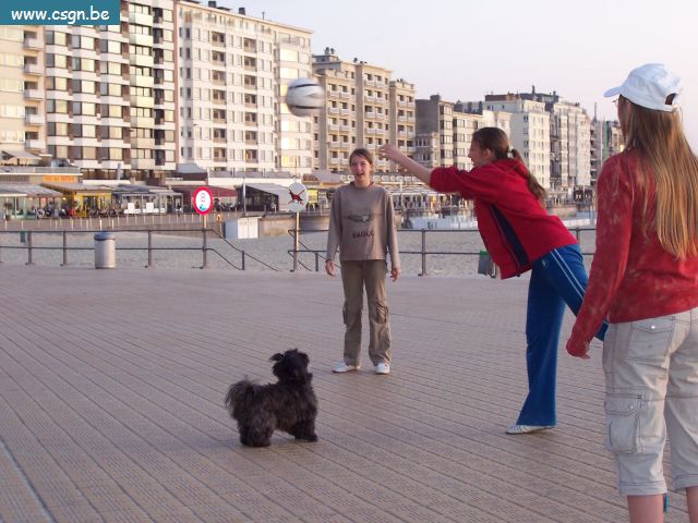 100_0662.JPG