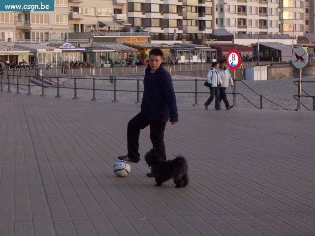 100_0663.JPG