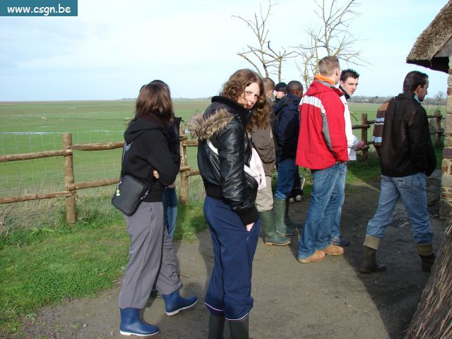 DSC00195.JPG