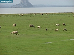 DSC00201.JPG
