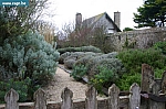 IMG_2270.JPG