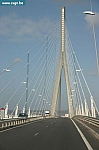 IMG_2599.JPG