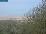 IMG_3210.JPG