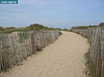 IMG_3218.JPG