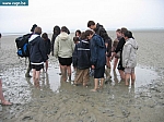 IMG_3258.JPG