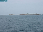 IMG_3496.JPG