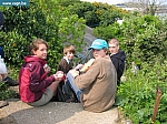 IMG_3511.JPG