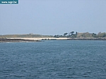 IMG_3519.JPG