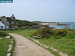 IMG_3522.JPG