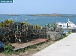IMG_3542.JPG