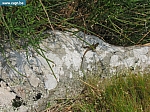 IMG_3548.JPG