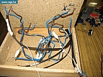 ra15.jpg