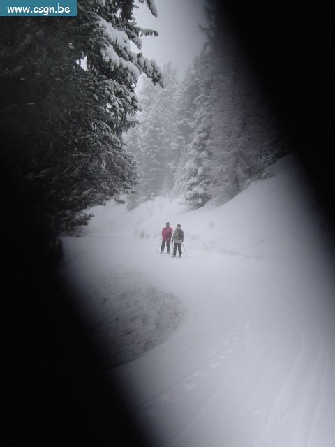DSC05536.JPG