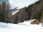 DSC00548.JPG