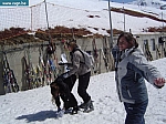 DSC05488.JPG