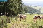 IMG_0066.JPG