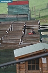 IMG_0128.JPG
