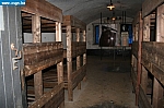 IMG_1474.JPG