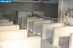 IMG_1490.JPG