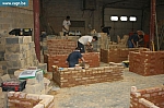 IMG_4316.JPG