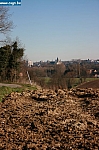 Photo 061.jpg