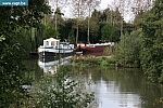 IMG_3288.JPG