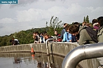 IMG_9611.JPG