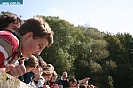 IMG_9613.JPG