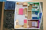 IMG_2567.JPG