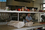 IMG_1182.jpg