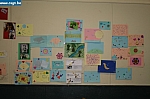 IMG_1237.jpg