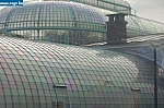 DSC_0042.JPG