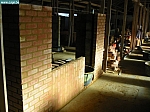 IMG_9871.JPG